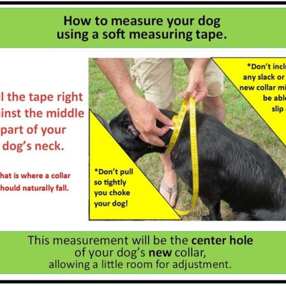 Dog Santa Ruffle  Elastic fit for both comfort and style with small bells!!! - Picture 4 of 9